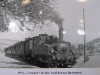 125 Jahre Odenwälder Lieschen