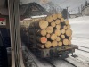 Bernina Bahn - Rhätische Bahn