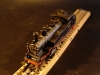 BR 74 Unikat Fa. Walker und Holtzapffe